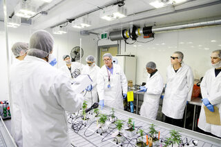 2018-10-15T132625Z_220656612_RC110E0AD610_RTRMADP_3_CANADA-MARIJUANA-COLLEGE.JPG