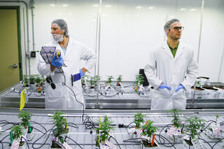 2018-10-15T164043Z_582528991_RC15B8163400_RTRMADP_3_CANADA-MARIJUANA-COLLEGE.JPG