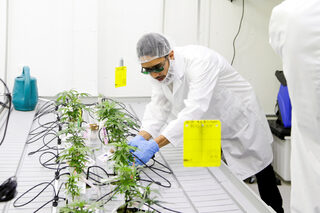2018-10-15T132553Z_1566072915_RC1641614050_RTRMADP_3_CANADA-MARIJUANA-COLLEGE.JPG