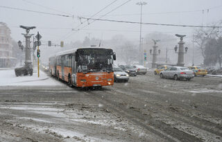 a_DSC7451.jpg
