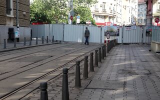 P030698974NEL.jpg