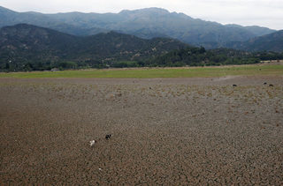 2019-01-11T184723Z_1930880260_RC164EC03A20_RTRMADP_3_CHILE-DROUGHT-LAGOON.JPG
