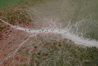 2019-01-11T185026Z_1920094345_RC1BF0F29A20_RTRMADP_3_CHILE-DROUGHT-LAGOON.JPG