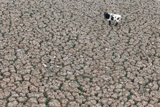 2019-01-11T183953Z_65753391_RC12E6E7B450_RTRMADP_3_CHILE-DROUGHT-LAGOON.JPG