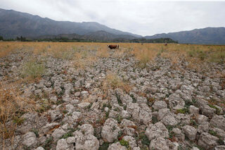 2019-01-11T185800Z_1304496248_RC1D11D3AB90_RTRMADP_3_CHILE-DROUGHT-LAGOON.JPG