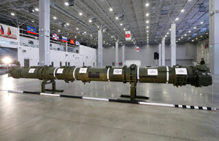 2019-01-23T102210Z_121329542_RC14FE06A390_RTRMADP_3_USA-NUCLEAR-RUSSIA.JPG