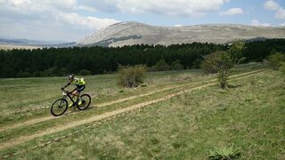 IMG_20190420_120154.jpg