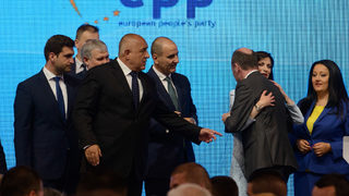 P030717949VA.jpg