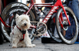 3-2019-07-08T092237Z_709369082_RC1DD55347C0_RTRMADP_3_CYCLING-FRANCE.JPG