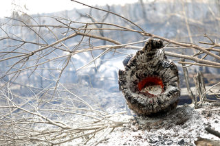 2019-08-23T225239Z_721255094_RC1D6FE68540_RTRMADP_3_BRAZIL-ENVIRONMENT-WILDFIRES.JPG