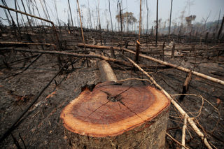 2019-08-23T225218Z_141548193_RC11A81DD150_RTRMADP_3_BRAZIL-ENVIRONMENT-WILDFIRES.JPG