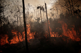 2019-08-23T225205Z_1850251283_RC1481658910_RTRMADP_3_BRAZIL-ENVIRONMENT-WILDFIRES.JPG