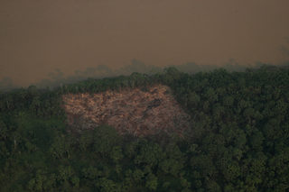 2019-08-22T114732Z_1752386005_RC18F49B3080_RTRMADP_3_BRAZIL-ENVIRONMENT-WILDFIRES.JPG