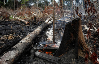 2019-08-21T223432Z_1609306620_RC149D18BD60_RTRMADP_3_BRAZIL-ENVIRONMENT-WILDFIRES.JPG