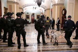 2021-01-07T012350Z_1961879384_RC2P2L92VJOH_RTRMADP_3_USA-ELECTION-CONGRESS.JPG