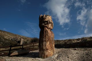 2021-01-26T153727Z_67461852_RC2RFL9JUX90_RTRMADP_3_GREECE-SCIENCE-TREE.JPG