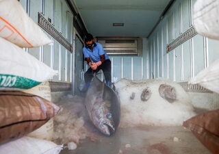 2022-04-19T010138Z_1807762064_RC21OT9IXYXQ_RTRMADP_3_SRI-LANKA-CRISIS-FISHERMEN.JPG