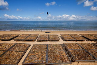 2022-04-19T010132Z_773860748_RC23OT9A6EL5_RTRMADP_3_SRI-LANKA-CRISIS-FISHERMEN.JPG