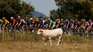 2022-07-15T165432Z_1522823580_UP1EI7F111OC2_RTRMADP_3_CYCLING-FRANCE.JPG