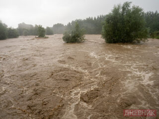 _9020996_resized_watermarked.jpg