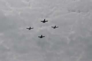 VZ7_4353.jpg