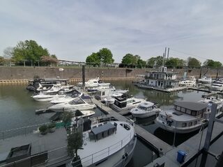IMG_20230504_104532.jpg