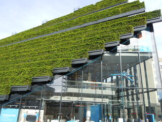 DSCN9921.JPG
