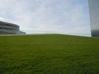 DSCN9920.JPG