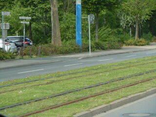 DSCN9996.JPG