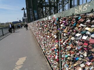 IMG_20230503_134207.jpg