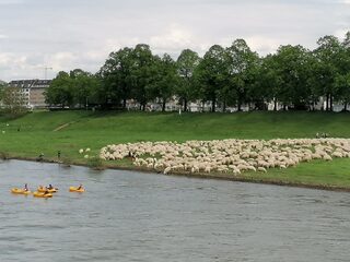 IMG_20230507_121339.jpg