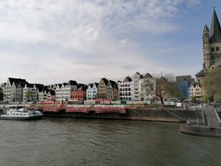 IMG_20230507_120315.jpg