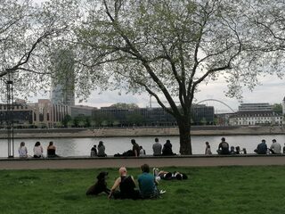 IMG_20230507_144115.jpg