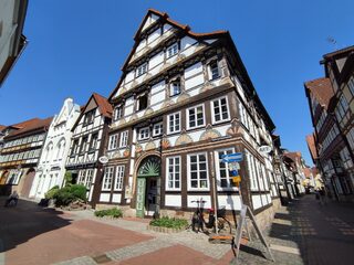IMG_20230611_152646.jpg