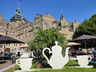 IMG_20230610_174747.jpg