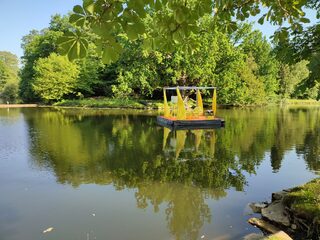 IMG_20230610_181155.jpg