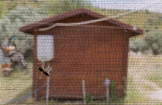 2025-05-29T112616Z_319559651_RC21NEAFA3SP_RTRMADP_3_TURKEY-BEES.JPG