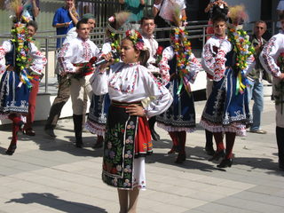 IMG_4117.jpg