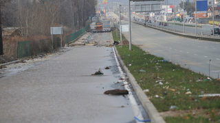 С публично-частно партньорство София ще прави пешеходни надлези