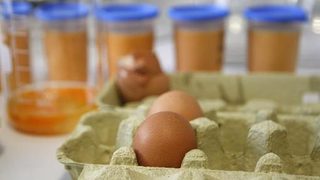 Властите в Германия заговориха за строги санкции заради диоксина