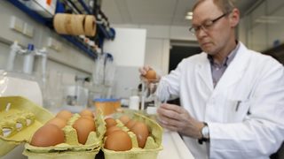 Южна Корея спря вноса на свинско от Германия заради диоксина