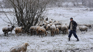 Фотогалерия: Да преминеш през Юндола в снежни условия