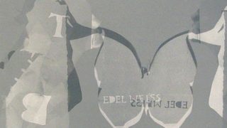 Кино и фотоарт в програмата "Лицата на Германия" във Варна