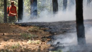 Пожарът край Банско е овладян