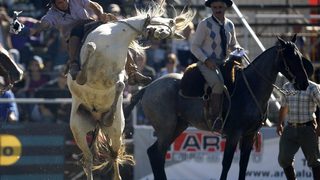 Фотогалерия: <span class="highlight">Родео</span> в Монтевидео