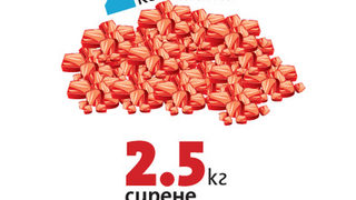 Обещаното от премиера увеличение на пенсиите вероятно ще е с 10 лв.