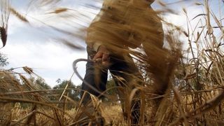 Световната банка предложи схема за намаляване на нестабилността при цените на храните
