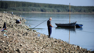 Ниското ниво на Дунав спря пътническите кораби до Никопол