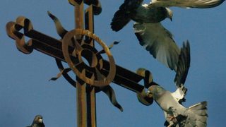 Църквата почита Светите София, Вяра, Надежда и Любов