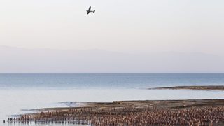 Над 1000 души позираха голи в масова фотосесия за спасяването на Мъртво море